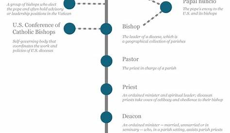 hierarchy in catholic church chart