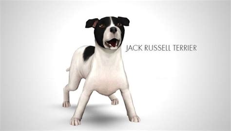 Improved Jack Russell Terrier By Morganabanana Sims 3 Downloads Cc