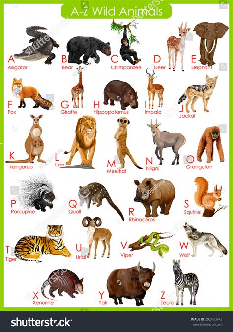 2732 Wild Animals Chart Images Stock Photos And Vectors Shutterstock