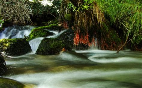 Hier vindt u informatie voor een vakantie macedonië, bezienswaardigheden en macedonië is echt een aanrader voor cultuurfans met steden zoals skopje en de voormalige ottomaanse stad bitola. 10 Mooie bezienswaardigheden in Macedonië ...