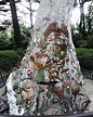 Fairy Tree Fitzroy Gardens Melbourne | Melbourne garden, Melbourne ...