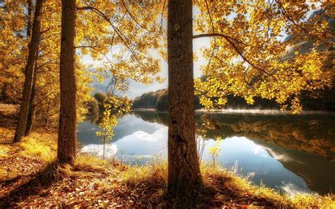 壁纸 阳光 树木 景观 森林 秋季 树叶 水 性质 反射 草 科 黄色 丘陵 早上 河 厂 季节 林地