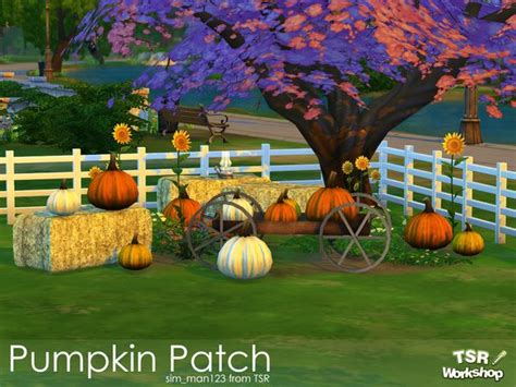 Cool Pumpkin Patch For Your Autumn Decor🍂 Created By Simman123