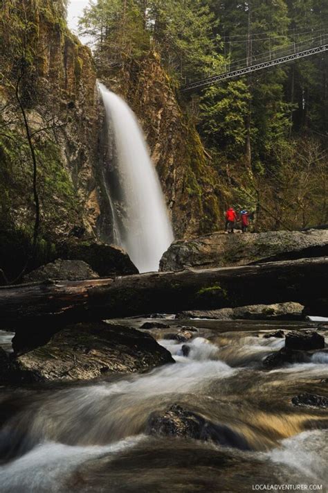 Drift Creek Falls Hike Lincoln City Oregon Coast Local Adventurer