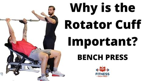 Why Is The Rotator Cuff Important During Bench Press Youtube