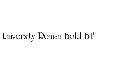 University Roman Bold Bt
