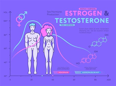 Sex Hormone Production Estrogen And Testosterone By Graphicdealer On Dribbble