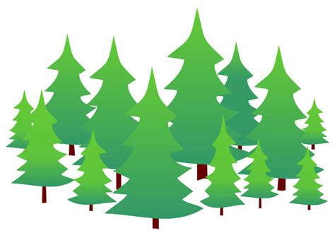 Evergreen Tree Clipart At Getdrawings Free Download
