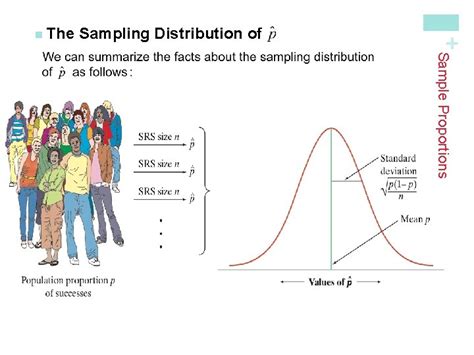 Sampling Distributions What Is A Sampling Distribution Learning