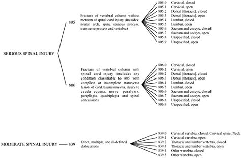 Paths of spinal injury and correspondent ICD-9-CM codes of ...