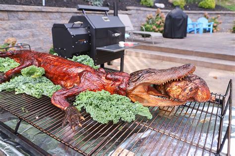 How To Cook A Whole Alligator Meadow Creek Pr60t Pig Roaster Demo