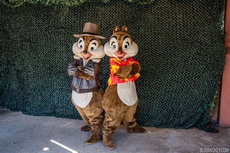 New Chip And Dale Rescue Rangers Meet And Greet Debuts At Disneys