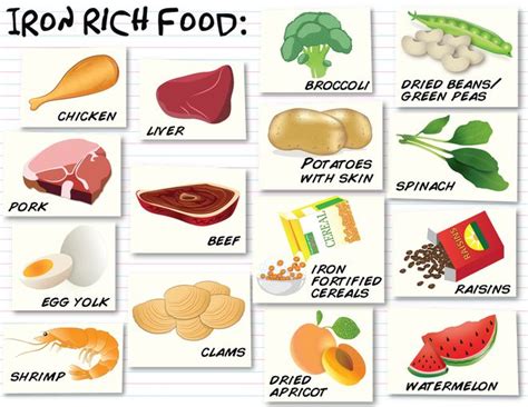 Iron Rich Foods Iron Rich Food 1