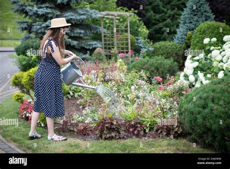 A Young Girl Waters The Flowers In Her Garden With A Watering Can Stock