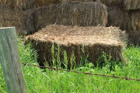 Square Hay Bales Fence Post Free Stock Photo Public Domain Pictures