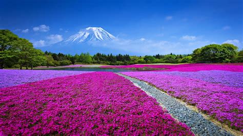 Japan Landscape Wallpapers 4k Hd Japan Landscape Backgrounds On