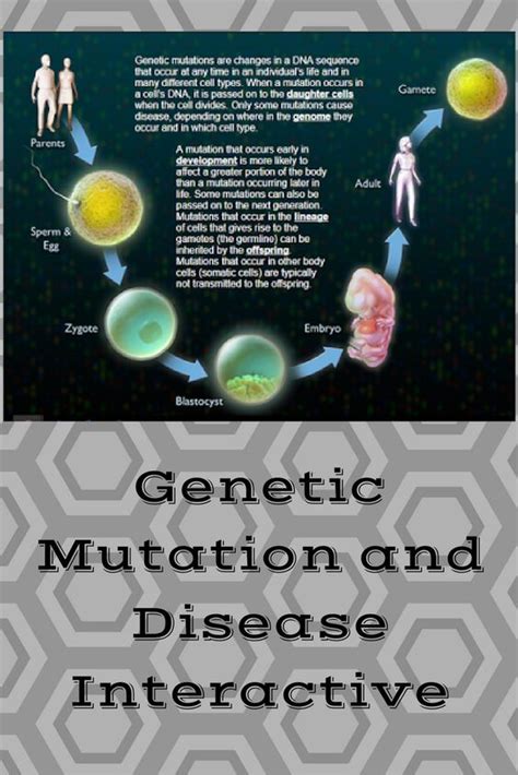 Explore How Genetic Mutations Relate To Diseases With This Interactive