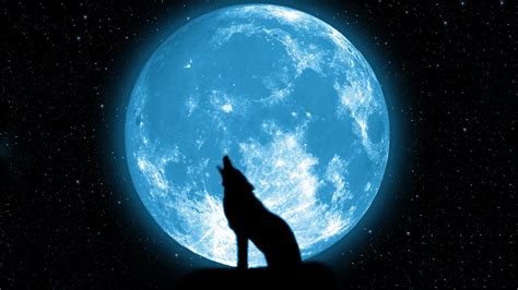 Wolf Howling On The Moon Wallpapers Hd Desktop And Mobile Backgrounds