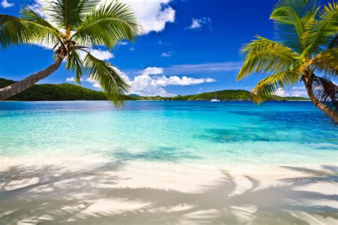 Tropical Beach Image Best Tropical Beach 1000x667 17733