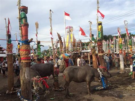 Ritual Tiwah Ritual Menuju Surga Suku Dayak Ngaju Laman Dari