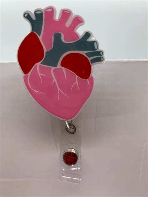 anatomical heart badge reel etsy