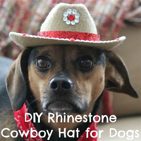 Diy Rhinestone Cowboy Hat For Dogs