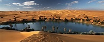 Egypt Western Desert | Egypt Oasis