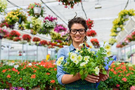 Como Montar Uma Floricultura Ideias De Negócios