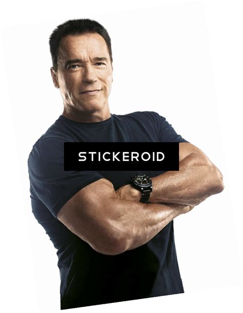 Arnold Schwarzenegger Terminator Png - Arnold Schwarzenegger Terminator 2 Judgment Day National ...