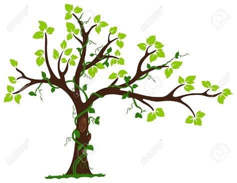Tree Branch Clip Art 10 Free Cliparts Download Images On Clipground 2024