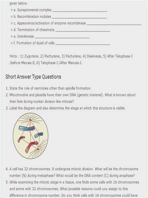 Section 11 4 meiosis answer. Section 11 5 Linkage and Gene Maps Worksheet Answer Key ...