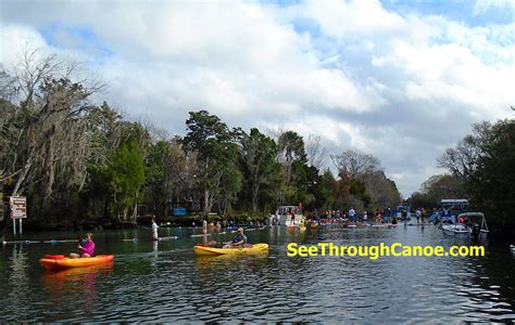 Crystal River And Three Sisters Springs Tours To See Manatees
