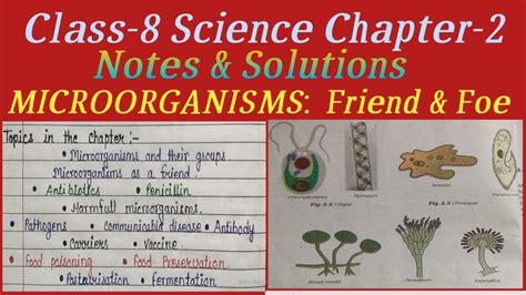 Microorganisms Friend And Foe Class 8 Science Chapter 2 Complete