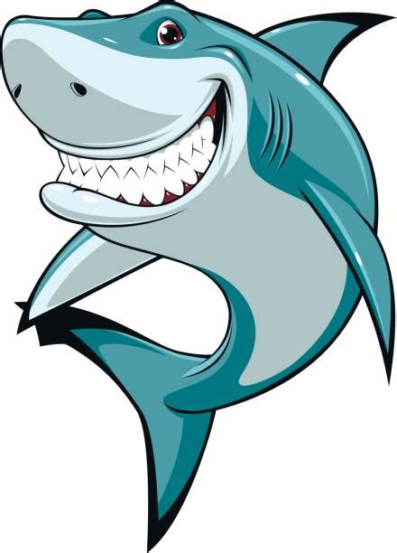 Cartoon Shark Illustrations Royalty Free Vector Graphics