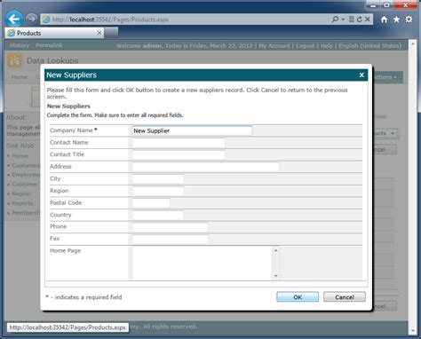 Code On Time Data Controllers Fields New Data View