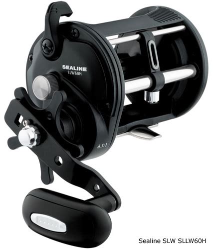 Daiwa Sealine SLW