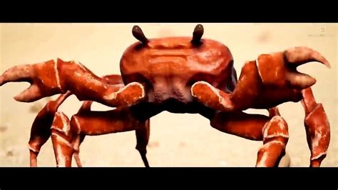 10 Hours Crab Rave Youtube