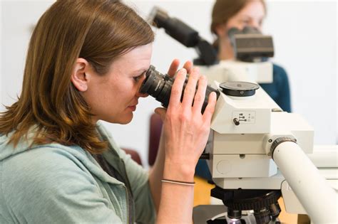 Combined Anatomic Pathology Residency And Phd College Of Veterinary