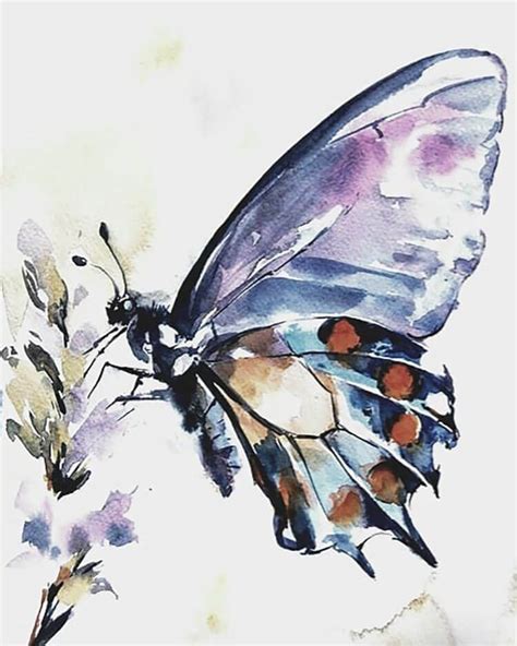 20 Beautiful Watercolor Butterfly Painting Ideas Beautiful Dawn