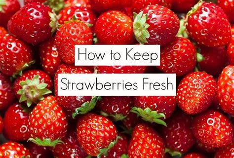 The Trick To Keeping Your Strawberries Fresh Longer