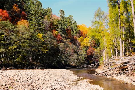 Autumn Wild Forest And River Vivid Landscape Colorful Wood Scene Crella
