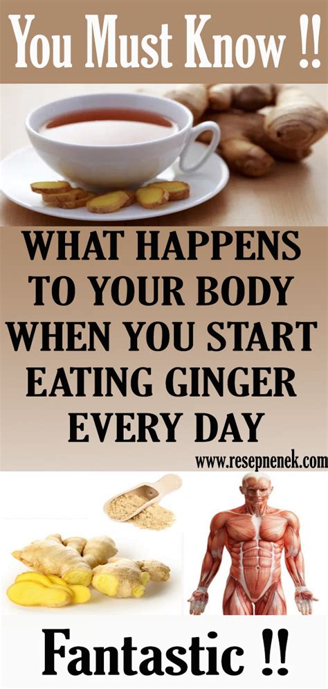 WHAT HAPPENS TO YOUR BODY WHEN YOU START EATING GINGER EVERY DAY Id Newstimes