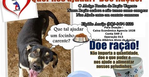 Meu Pet Ongs De Prote O Aos Animais Em Pernambuco