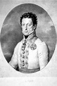 Karl von Österreich-Teschen Litho - Free Stock Illustrations | Creazilla