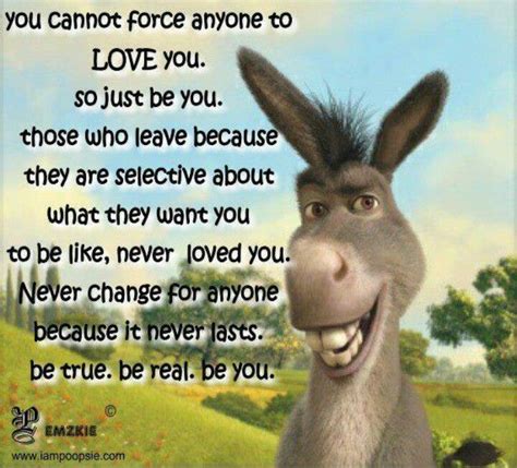 Funny Donkey Quotes From Shrek Shortquotescc