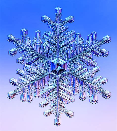 Snowflake Photographs