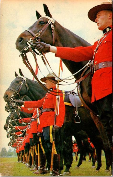 Vintage Postcard Officers Of The Royal Canadian Mounted Police Musical