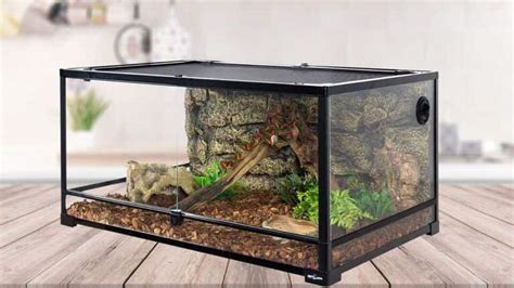 Best Reptile Terrarium Aug 2023 Review And Buying Guide