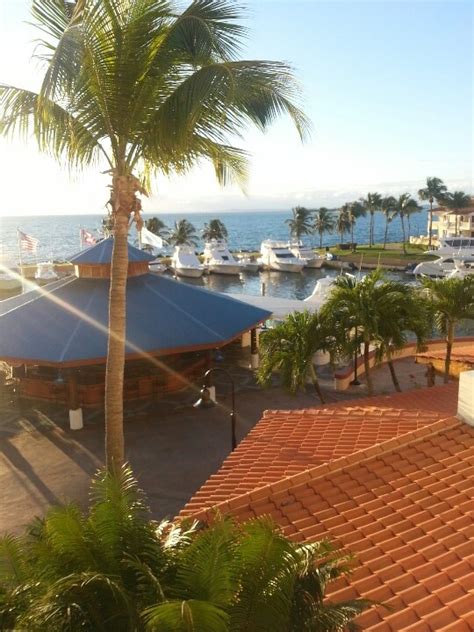 La Marina El Conquistador Resort Spent An Awesome Afternoon Hanging