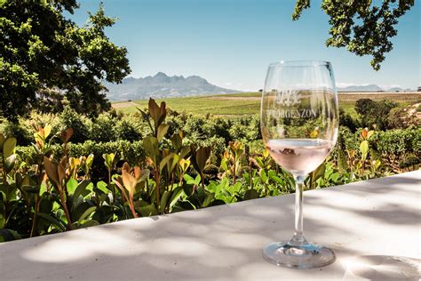 Of Kissing Frogs And Musical Grapes Private Cape Town Wine Tours